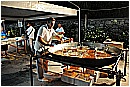 15P_1186 - 194 KB