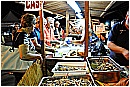 15P_1195 - 231 KB