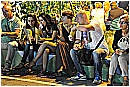 15P_1219 - 227 KB