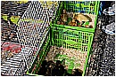 15R_3459 - 359 KB