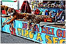 15R_3464 - 308 KB