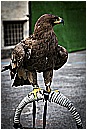 _MG_0018 - 134 KB