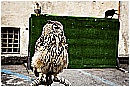 _MG_0022 - 197 KB