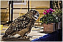 _MG_0183 - 233 KB