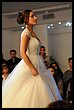15R_4285.jpg