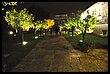 15R_4539.JPG