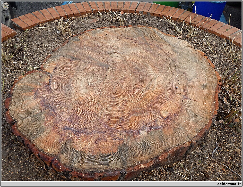 DSCN5132.JPG