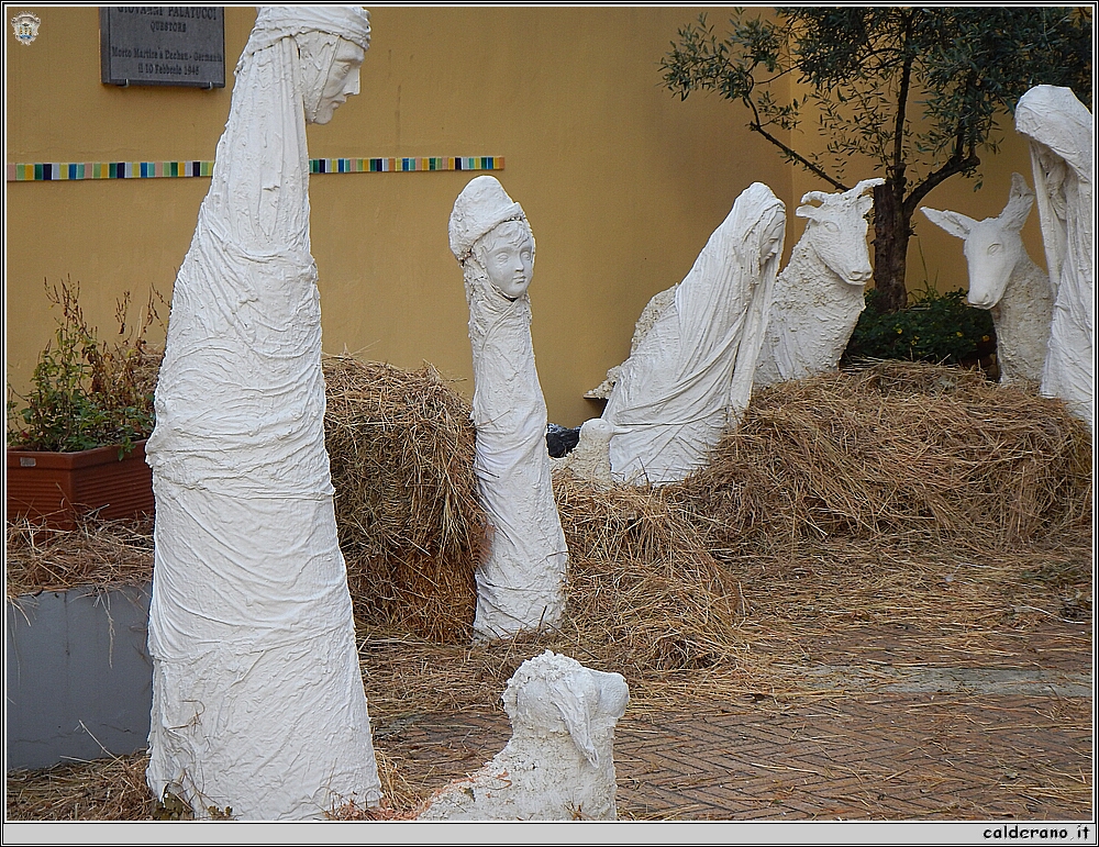 DSCN5139.JPG
