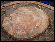 DSCN5132.JPG