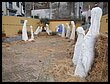 DSCN5136.JPG