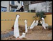 DSCN5137.JPG