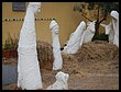 DSCN5139.JPG