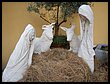 DSCN5142.JPG