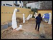 DSCN5143.JPG