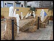 DSCN5144.JPG