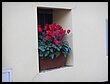 DSCN5147.JPG
