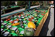 15R_4865.JPG
