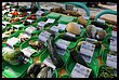 15R_4879.JPG