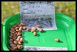 15R_4890.JPG