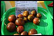 15R_4891.JPG