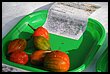 15R_4917.JPG