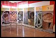 15R_4935.JPG