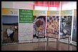 15R_4936.JPG
