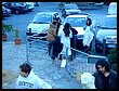 DSCN5184.JPG