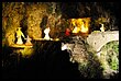 15R_5620.JPG