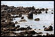 2015 070.JPG