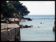 2015 097.JPG