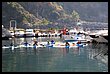 15R_5763.JPG