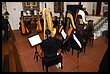15R_6036.JPG