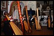 15R_6057.JPG