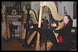 15R_6080.JPG