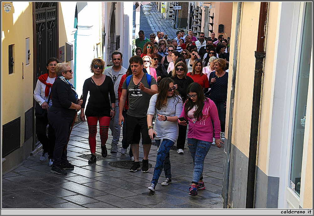 16D_1560.JPG