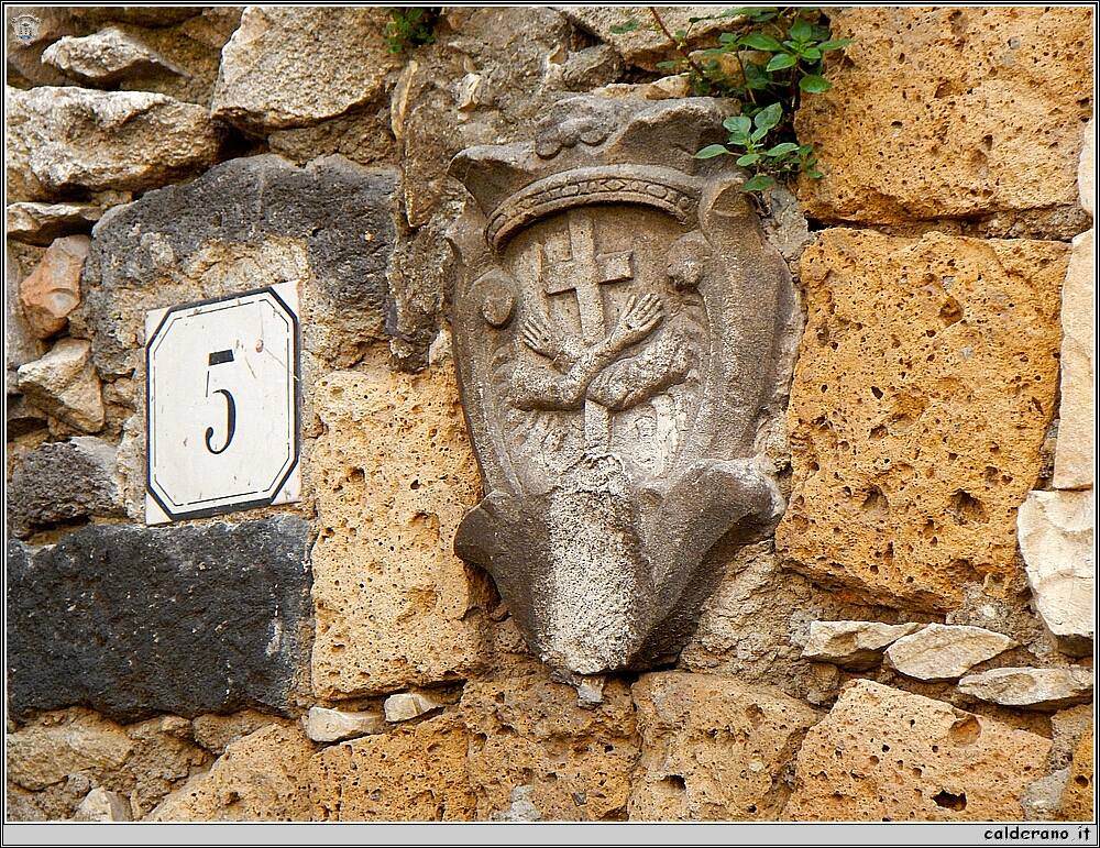 DSCN6139.JPG