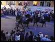 DSCN6180.JPG