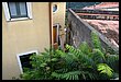 16H_0554.JPG