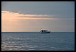 16H_1082.JPG