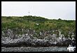16H_1089.JPG