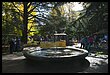 16R_2339.JPG