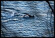 16R_2434.JPG