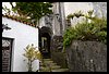 036 16H_0567.JPG