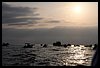 060 16H_0978.JPG