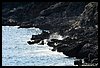 063 16H_1374.JPG
