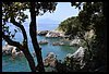 087 16L_4233.JPG