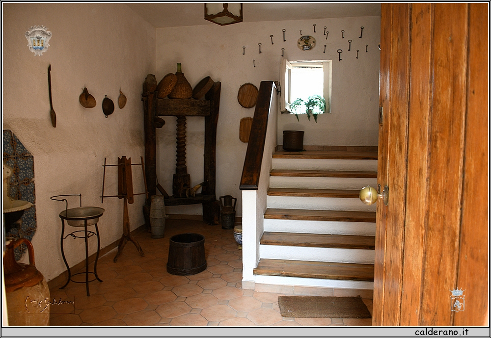 17E_8279.JPG