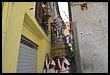 17E_8215.JPG