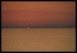 17R_9974.JPG